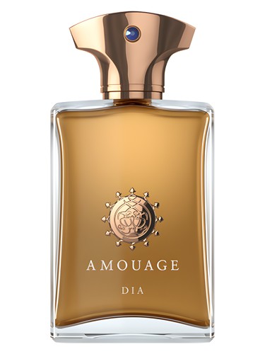 Amouage Dia pour Homme 100ml