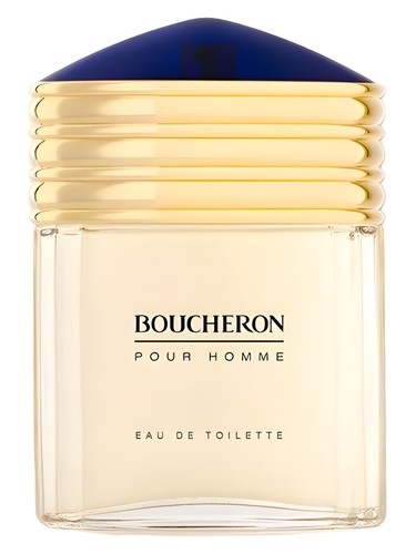 Boucheron Boucheron pour Homme 100ml