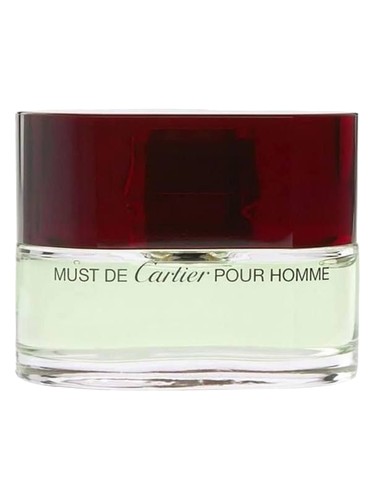Cartier Must de Cartier Pour Homme 100ml