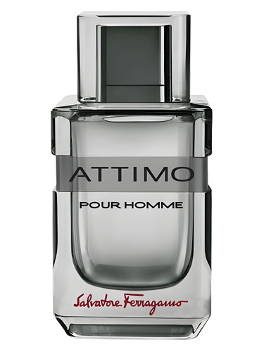 Salvatore Ferragamo Attimo pour Homme 100ml