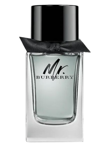 Burberry Mr. Burberry 100ml