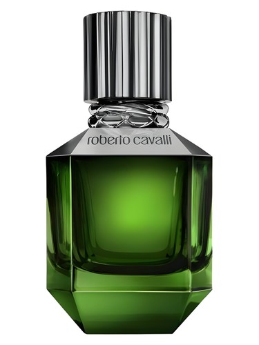 Roberto Cavalli Paradise Found For Men 75ml