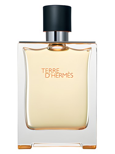 Hermès Terre d'Hermès 100ml