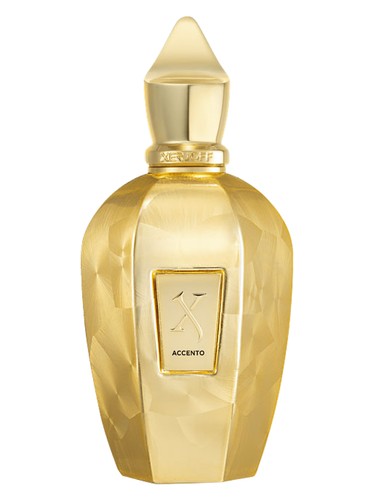 Xerjoff Accento Overdose 100ml